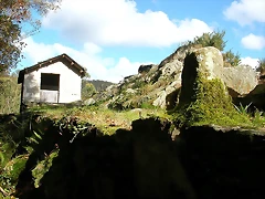 DSCN9222 DSCN9222