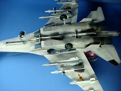 SU-30V 14