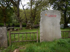 DSCN9189 DSCN9189