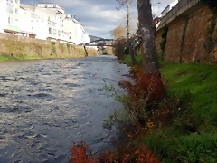 DSCN0823