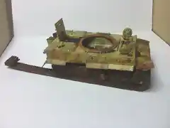 Tiger118