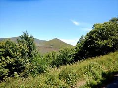 DSCN8229 DSCN8229
