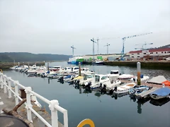 DSCN3310 DSCN3310
