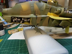 DSCN0529[1]