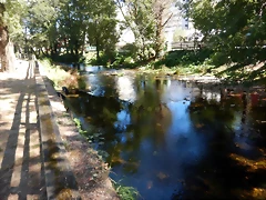 DSCN0270 DSCN0270