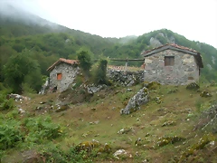 DSCN4294 DSCN4294