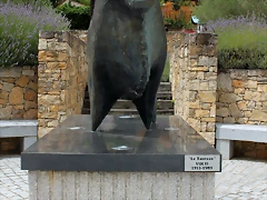 IMG_7084 IMG_7084
