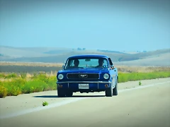 DSC_0399 DSC_0399