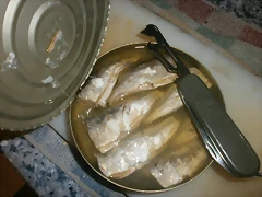 P1090100 P1090100