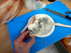 DSCN2303 DSCN2303