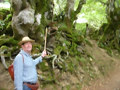 DSCN3827 DSCN3827