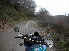 DSCN2805 DSCN2805