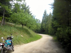 DSCN5354 DSCN5354