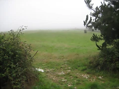 IMG_0227 IMG_0227