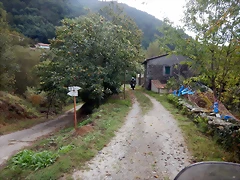 DSCN1250 DSCN1250