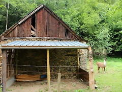 IMG_6685 IMG_6685