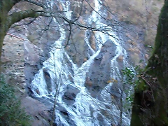 DSCN6678 DSCN6678