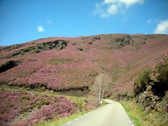 DSCN3987 DSCN3987