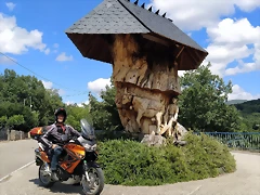 ARBOLPARAMO