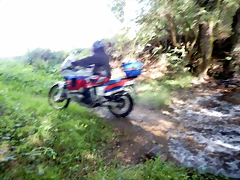 DSCN6885 DSCN6885
