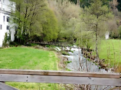 DSCN4103 DSCN4103