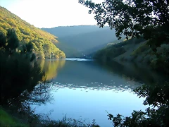 DSCN6493 DSCN6493