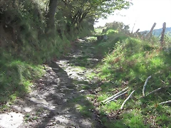 IMG_1869 IMG_1869