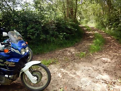 DSCN5799 DSCN5799
