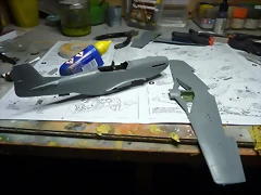 P1070243 P1070243