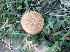 IMG-20190109-WA0011