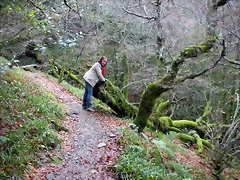 DSCN0679 DSCN0679