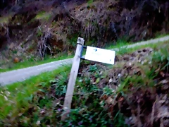 DSCN4083 DSCN4083