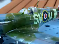 Spitfire (5)