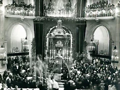 Elche basilica 13 Elche basilica 13