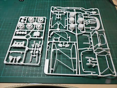 DSCN6311 DSCN6311