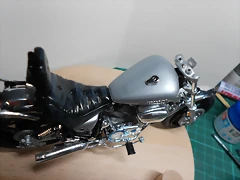 DSCN4784 DSCN4784
