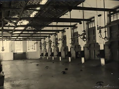 Matadero