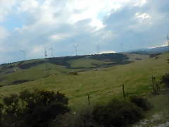 DSCN9544 DSCN9544