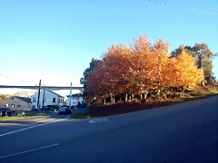 DSCN8946 DSCN8946
