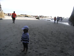 R0011081 R0011081