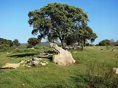 formas capricosas de la piedra