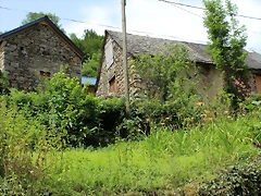 IMG_6793 IMG_6793