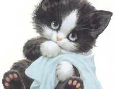 Gato_triste Gato_triste