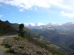 DSCN7764 DSCN7764