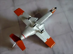 P1070113 P1070113