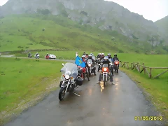 S6005769 S6005769
