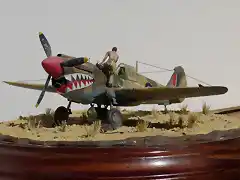 P-40M 005