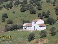 04, cortijo de roa, marca