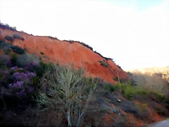 DSCN4011 DSCN4011
