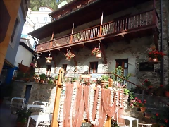 DSCN6617